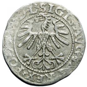 Obrazek 2 dla: Półgrosz 1563 Zygmunt II August Wilno