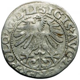 Obrazek 2 dla: Półgrosz 1563 Zygmunt II August Wilno