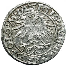 Obrazek 2 dla: Półgrosz 1563 Zygmunt II August Wilno