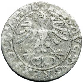 Obrazek 2 dla: Półgrosz 1564 Zygmunt II August Wilno