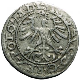Obrazek 2 dla: Półgrosz 1564 Zygmunt II August Wilno