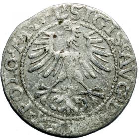 Obrazek 2 dla: Półgrosz 1564 Zygmunt II August Wilno