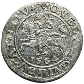 Obrazek dla: Półgrosz 1564 Zygmunt II August Wilno