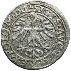 Obrazek 2 dla: Półgrosz 1564 Zygmunt II August Wilno