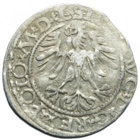 Obrazek 2 dla: Półgrosz 1565 Zygmunt II August Wilno
