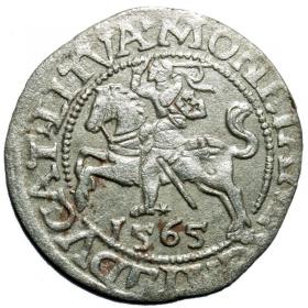 Obrazek dla: Półgrosz 1565 Zygmunt II August Wilno