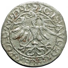 Obrazek 2 dla: Półgrosz 1565 Zygmunt II August Wilno