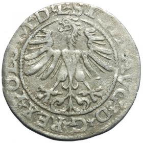 Obrazek 2 dla: Półgrosz 1565 Zygmunt II August Wilno