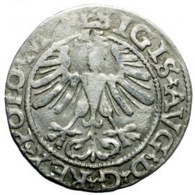 Obrazek 2 dla: Półgrosz 1565 Zygmunt II August Wilno