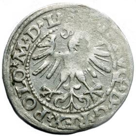 Obrazek 2 dla: Półgrosz 1563 Zygmunt II August Wilno