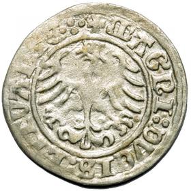 Obrazek 2 dla: Półgrosz 1509 Zygmunt I Stary Wilno