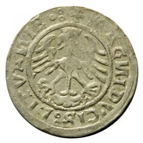 Obrazek dla: Półgrosz 1520 Zygmunt I Stary Wilno
