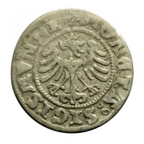 Obrazek 2 dla: Półgrosz 1507 Zygmunt I Stary Kraków