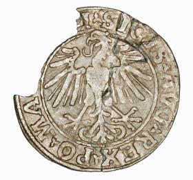 Obrazek 2 dla: Półgrosz 1548 Zygmunt II August Wilno