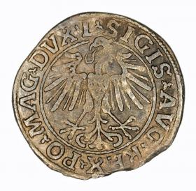 Obrazek 2 dla: Półgrosz 1548 Zygmunt II August Wilno