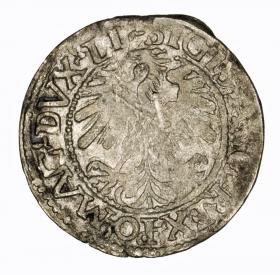 Obrazek 2 dla: Półgrosz 1559 Zygmunt II August Wilno