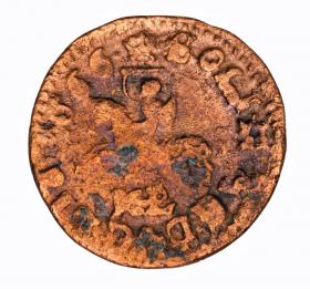 Obrazek 2 dla: Szeląg 1666 Jan Kazimierz Ujazdów