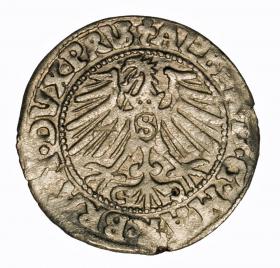 Obrazek 2 dla: Grosz 1547 Albrecht Hohenzollern Księstwo Pruskie Królewiec