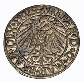 Obrazek 2 dla: Grosz 1544 Albrecht Hohenzollern Księstwo Pruskie Królewiec