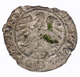 Obrazek 2 dla: Szeląg 1557 Albrecht Hohenzollern Księstwo Pruskie Królewiec