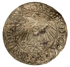 Obrazek 2 dla: Grosz 1542 Albrecht Hohenzollern Księstwo Pruskie Królewiec
