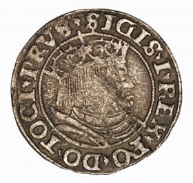 Obrazek dla: Grosz pruski 1531 Zygmunt I Stary Toruń