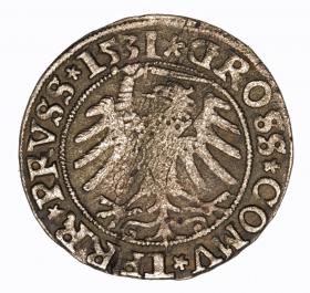 Obrazek 2 dla: Grosz pruski 1531 Zygmunt I Stary Toruń