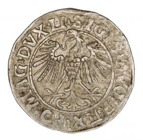 Obrazek 2 dla: Półgrosz 1547 Zygmunt II August Wilno