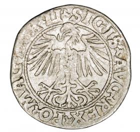 Obrazek 2 dla: Półgrosz 1548 Zygmunt II August Wilno
