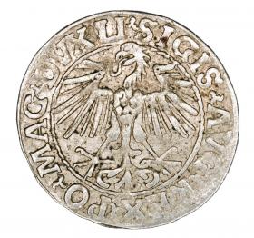 Obrazek 2 dla: Półgrosz 1548 Zygmunt II August Wilno