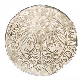 Obrazek 2 dla: Półgrosz 1548 Zygmunt II August Wilno