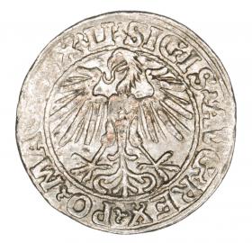 Obrazek 2 dla: Półgrosz 1548 Zygmunt II August Wilno