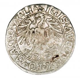 Obrazek 2 dla: Półgrosz 1548 Zygmunt II August Wilno
