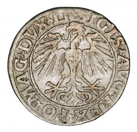 Obrazek 2 dla: Półgrosz 1548 Zygmunt II August Wilno