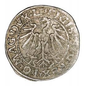 Obrazek 2 dla: Półgrosz 1548 Zygmunt II August Wilno