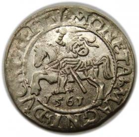 Obrazek dla: Półgrosz 1561 Zygmunt II August Wilno