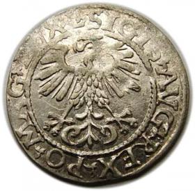 Obrazek 2 dla: Półgrosz 1561 Zygmunt II August Wilno