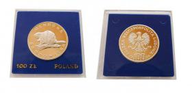 Obrazek dla: 100 złotych 1978 Bóbr Ochrona Środowiska srebro