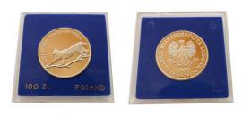 Obrazek dla: 100 złotych 1979 Ryś Ochrona Środowiska