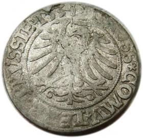 Obrazek 2 dla: Grosz pruski 1534 Zygmunt I Stary Prusy Królewskie Toruń