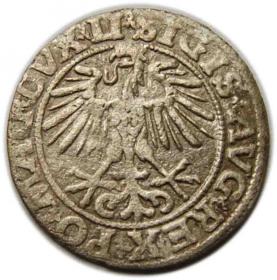 Obrazek 2 dla: Półgrosz 1551 Zygmunt II August Wilno