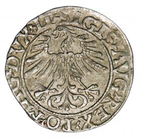 Obrazek 2 dla: Półgrosz 1561 Zygmunt II August Litwa Wilno