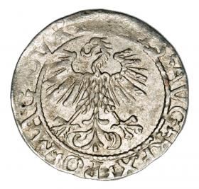 Obrazek 2 dla: Półgrosz 1561 Zygmunt II August Litwa Wilno