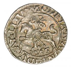 Obrazek dla: Półgrosz 1565 Zygmunt II August Litwa Wilno