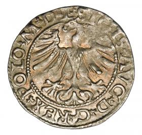 Obrazek 2 dla: Półgrosz 1565 Zygmunt II August Litwa Wilno