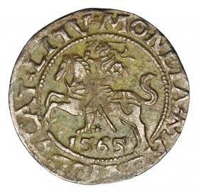 Obrazek dla: Półgrosz 1565 Zygmunt II August Litwa Wilno