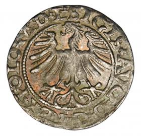 Obrazek 2 dla: Półgrosz 1565 Zygmunt II August Litwa Wilno