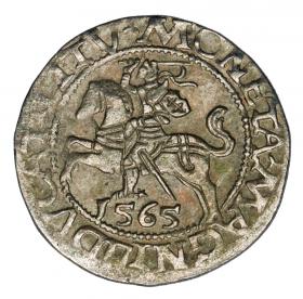 Obrazek dla: Półgrosz 1565 Zygmunt II August Litwa Wilno