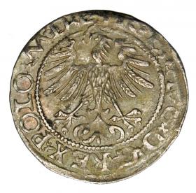 Obrazek 2 dla: Półgrosz 1565 Zygmunt II August Litwa Wilno