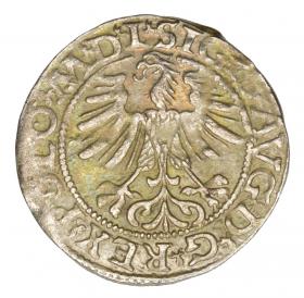 Obrazek 2 dla: Półgrosz 1565 Zygmunt II August Litwa Wilno